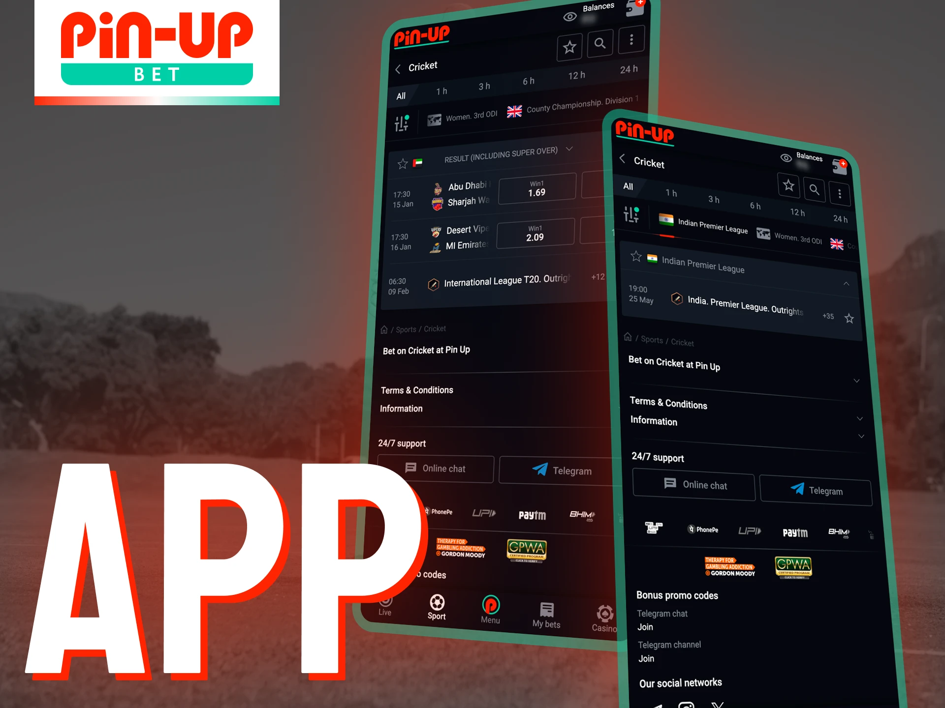 The Pin-Up mobile app makes betting on cricket more convenient than ever.