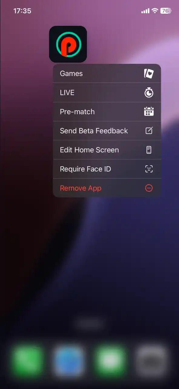 Click the Pin-Up Casino shortcut on your home screen to begin your gaming session.